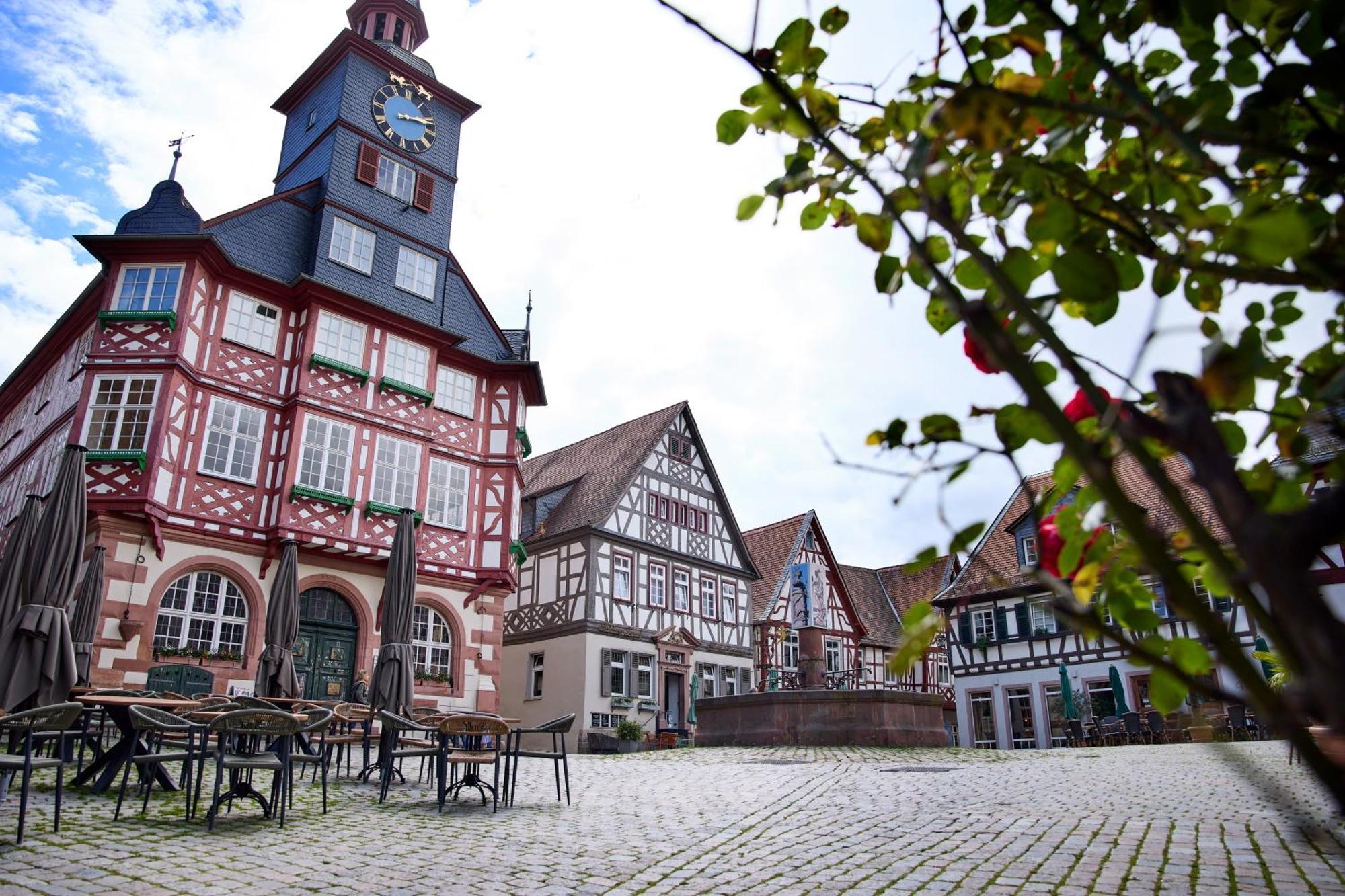 Heppenheim Hygge-Flats - Zentral Fuer 2-4 Personen, Wlanアパートメント エクステリア 写真
